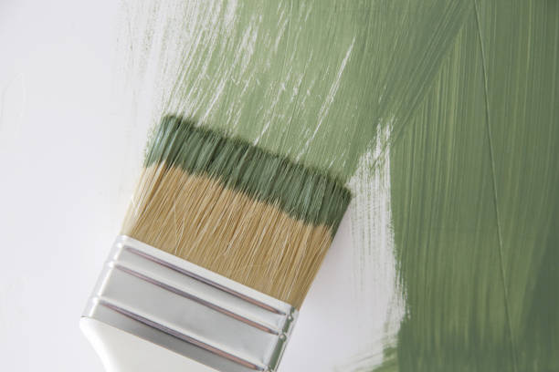 Best Environmental Consulting for Mold Prevention  in Graham, WA